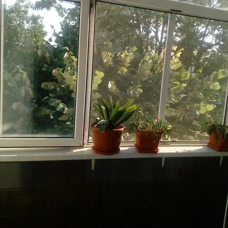 Cozy Apartment Constanta